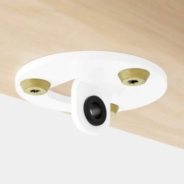 Anchor plate for aerial acrobatics with wood screws